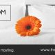 thelaundryroomcornwall